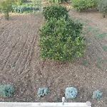 Robi Apartament Trogir
