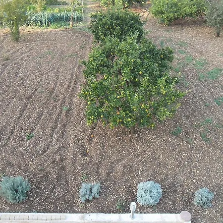 Robi Apartman Trogir