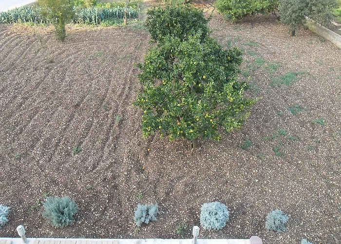 Robi 아파트 트로기르